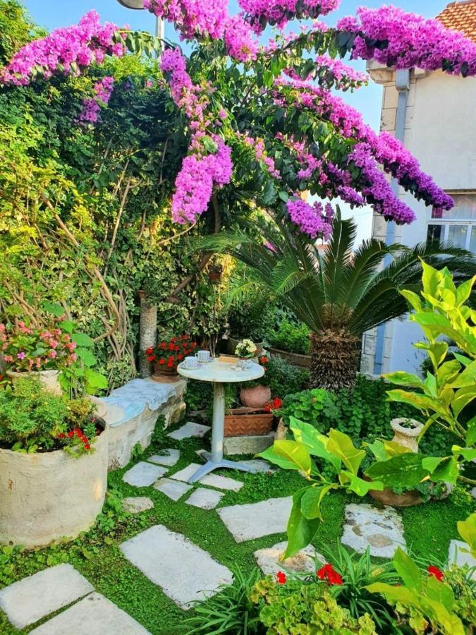 Rooms Garden - With A View Dubrovnik Exteriör bild